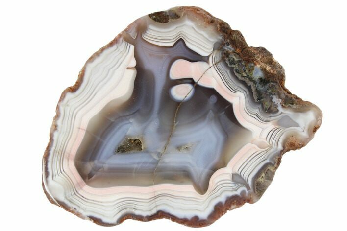 Polished Banded Agate Nodule Section - Morocco #187223